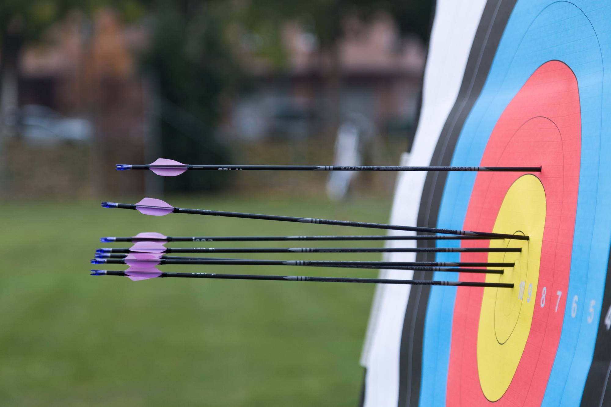 Archery target with arrows on it